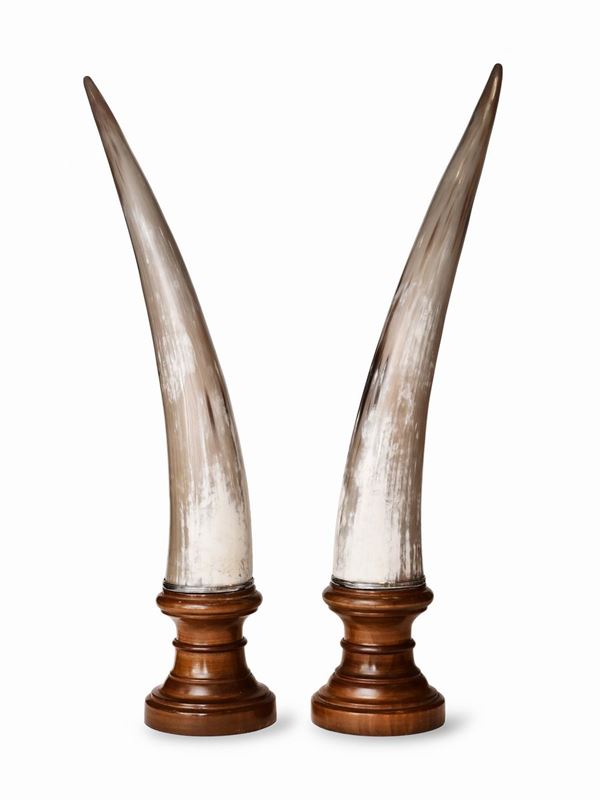 Pair of horns  - Auction GIOIELLI, OROLOGI E VINTAGE LUXURY GOODS - Faraone Casa d'Aste