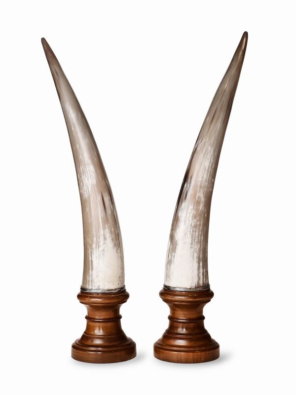Coppia di corni