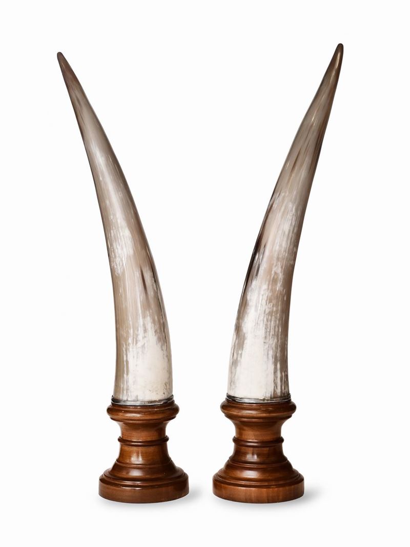 Coppia di Corni