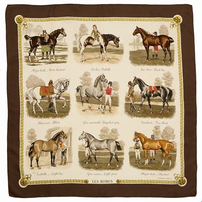 Foulard Hermès in Seta