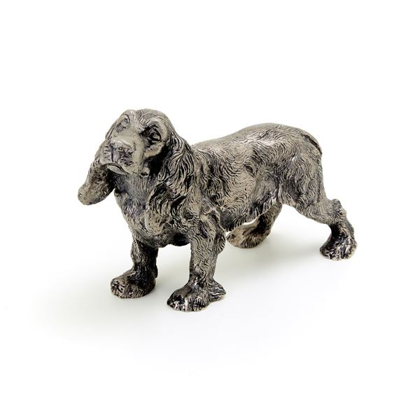 Gucci - Cocker Spaniel Gucci