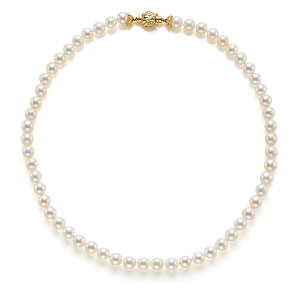 Pearls necklace with gold clasp