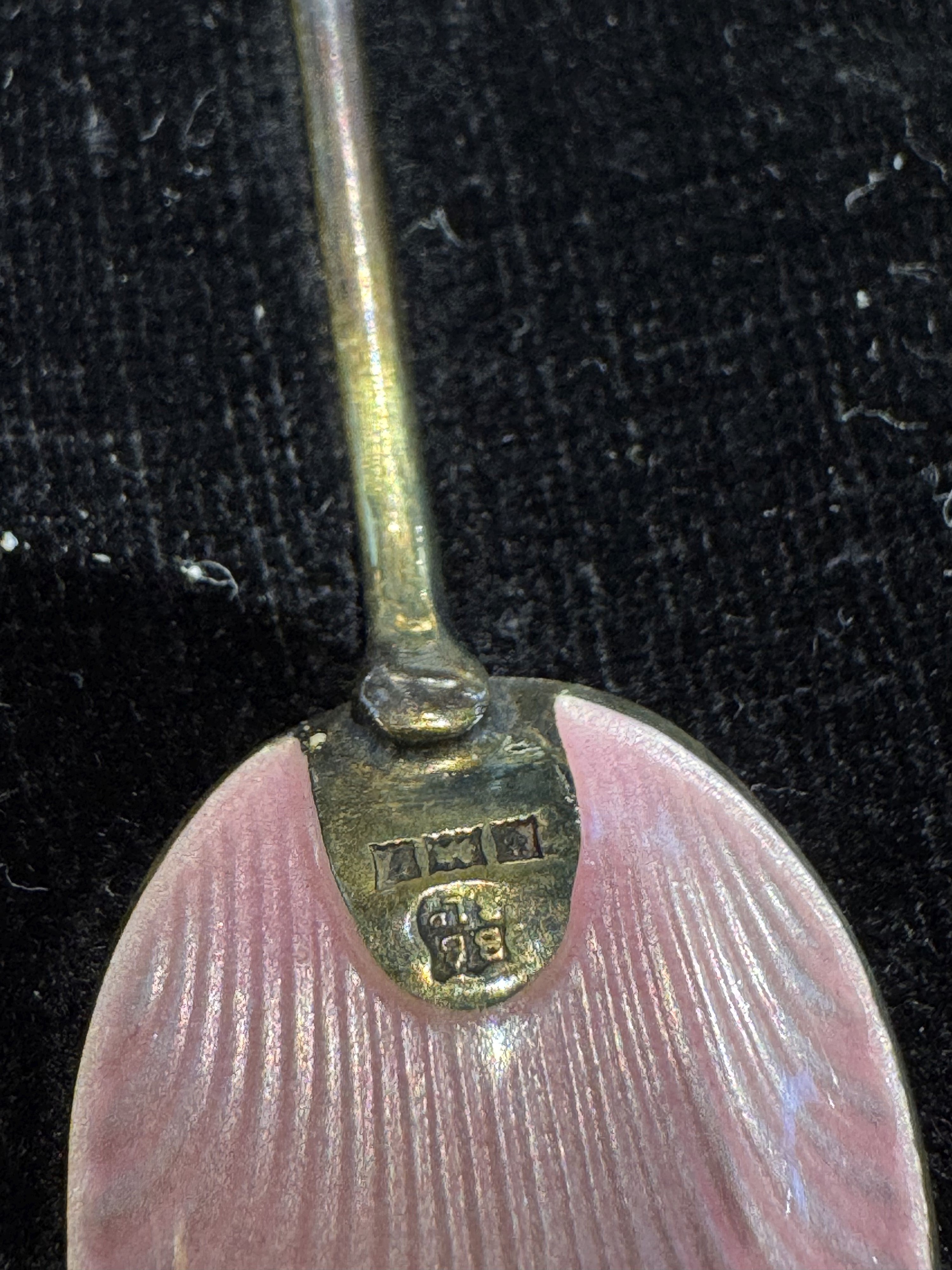 Set di cucchiaini in argento con smalti